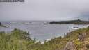./images/calvert/foggy-cove/20251115/foggy-cove20251115_124001M.jpg