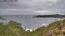./images/calvert/foggy-cove/20251115/foggy-cove20251115_153002M.jpg