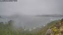 ./images/calvert/foggy-cove/20251116/foggy-cove20251116_094501M.jpg