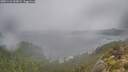 ./images/calvert/foggy-cove/20251116/foggy-cove20251116_110002M.jpg
