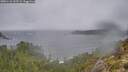 ./images/calvert/foggy-cove/20251116/foggy-cove20251116_132501M.jpg