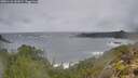 ./images/calvert/foggy-cove/20251116/foggy-cove20251116_141001M.jpg