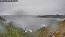 ./images/calvert/foggy-cove/20251116/foggy-cove20251116_143501M.jpg