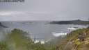 ./images/calvert/foggy-cove/20251116/foggy-cove20251116_145501M.jpg