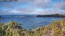./images/calvert/foggy-cove/20251117/foggy-cove20251117_120001M.jpg