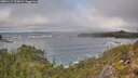 ./images/calvert/foggy-cove/20251117/foggy-cove20251117_125002M.jpg