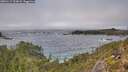 ./images/calvert/foggy-cove/20251117/foggy-cove20251117_133001M.jpg