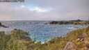 ./images/calvert/foggy-cove/20251117/foggy-cove20251117_141001M.jpg