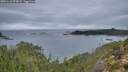 ./images/calvert/foggy-cove/20251118/foggy-cove20251118_075002M.jpg