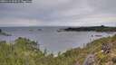 ./images/calvert/foggy-cove/20251119/foggy-cove20251119_154502M.jpg
