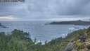 ./images/calvert/foggy-cove/20251121/foggy-cove20251121_082502M.jpg