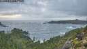 ./images/calvert/foggy-cove/20251121/foggy-cove20251121_083001M.jpg