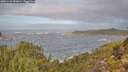 ./images/calvert/foggy-cove/20251121/foggy-cove20251121_095001M.jpg