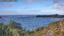 ./images/calvert/foggy-cove/20251121/foggy-cove20251121_134502M.jpg