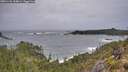 ./images/calvert/foggy-cove/20251121/foggy-cove20251121_154001M.jpg