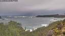 ./images/calvert/foggy-cove/20251122/foggy-cove20251122_093501M.jpg