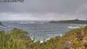 ./images/calvert/foggy-cove/20251122/foggy-cove20251122_112501M.jpg