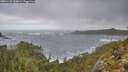 ./images/calvert/foggy-cove/20251122/foggy-cove20251122_113001M.jpg