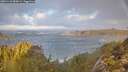 ./images/calvert/foggy-cove/20251123/foggy-cove20251123_085001M.jpg