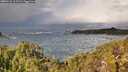 ./images/calvert/foggy-cove/20251123/foggy-cove20251123_112501M.jpg