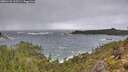 ./images/calvert/foggy-cove/20251123/foggy-cove20251123_123501M.jpg