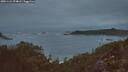 ./images/calvert/foggy-cove/20251124/foggy-cove20251124_074002M.jpg