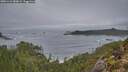 ./images/calvert/foggy-cove/20251124/foggy-cove20251124_080002M.jpg