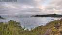 ./images/calvert/foggy-cove/20251124/foggy-cove20251124_095501M.jpg