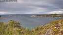 ./images/calvert/foggy-cove/20251125/foggy-cove20251125_124501M.jpg