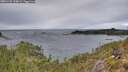 ./images/calvert/foggy-cove/20251125/foggy-cove20251125_134002M.jpg
