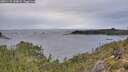 ./images/calvert/foggy-cove/20251125/foggy-cove20251125_144002M.jpg