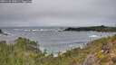 ./images/calvert/foggy-cove/20251126/foggy-cove20251126_150001M.jpg