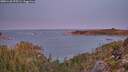 ./images/calvert/foggy-cove/20251128/foggy-cove20251128_075501M.jpg