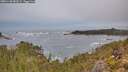 ./images/calvert/foggy-cove/20251130/foggy-cove20251130_083502M.jpg