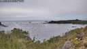 ./images/calvert/foggy-cove/20251130/foggy-cove20251130_093501M.jpg