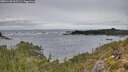 ./images/calvert/foggy-cove/20251130/foggy-cove20251130_105501M.jpg