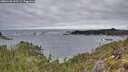 ./images/calvert/foggy-cove/20251130/foggy-cove20251130_120501M.jpg