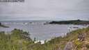./images/calvert/foggy-cove/20251130/foggy-cove20251130_130001M.jpg