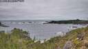 ./images/calvert/foggy-cove/20251130/foggy-cove20251130_130501M.jpg