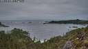 ./images/calvert/foggy-cove/20251130/foggy-cove20251130_164001M.jpg