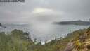 ./images/calvert/foggy-cove/20251202/foggy-cove20251202_083501M.jpg