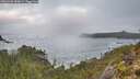 ./images/calvert/foggy-cove/20251202/foggy-cove20251202_084001M.jpg