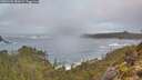 ./images/calvert/foggy-cove/20251202/foggy-cove20251202_084501M.jpg