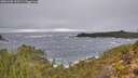 ./images/calvert/foggy-cove/20251202/foggy-cove20251202_102501M.jpg