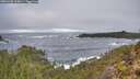 ./images/calvert/foggy-cove/20251202/foggy-cove20251202_103001M.jpg