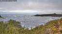 ./images/calvert/foggy-cove/20251202/foggy-cove20251202_112501M.jpg