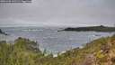 ./images/calvert/foggy-cove/20251202/foggy-cove20251202_115502M.jpg