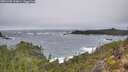 ./images/calvert/foggy-cove/20251202/foggy-cove20251202_124001M.jpg