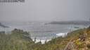 ./images/calvert/foggy-cove/20251202/foggy-cove20251202_141001M.jpg