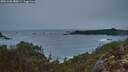 ./images/calvert/foggy-cove/20251203/foggy-cove20251203_080501M.jpg